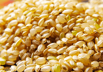 糙米的營養價直與功效